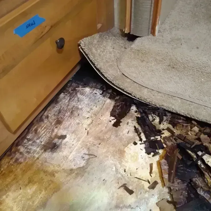 Best Wood Floor Water Damage Service in Pickens, SC